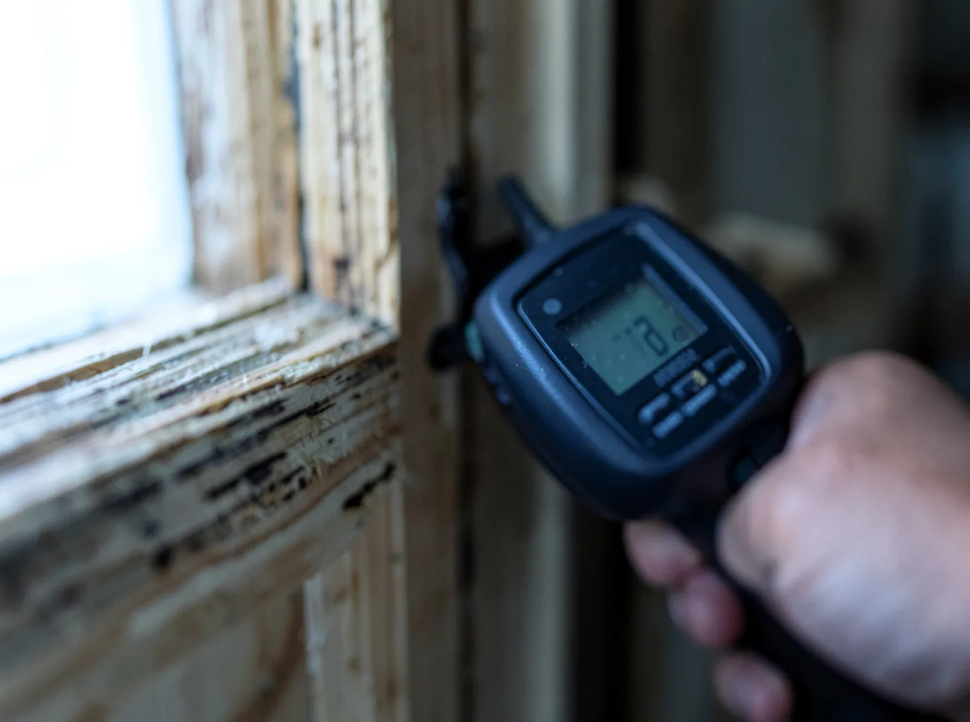 Moisture Inspection And Documentation in Avoca, TX